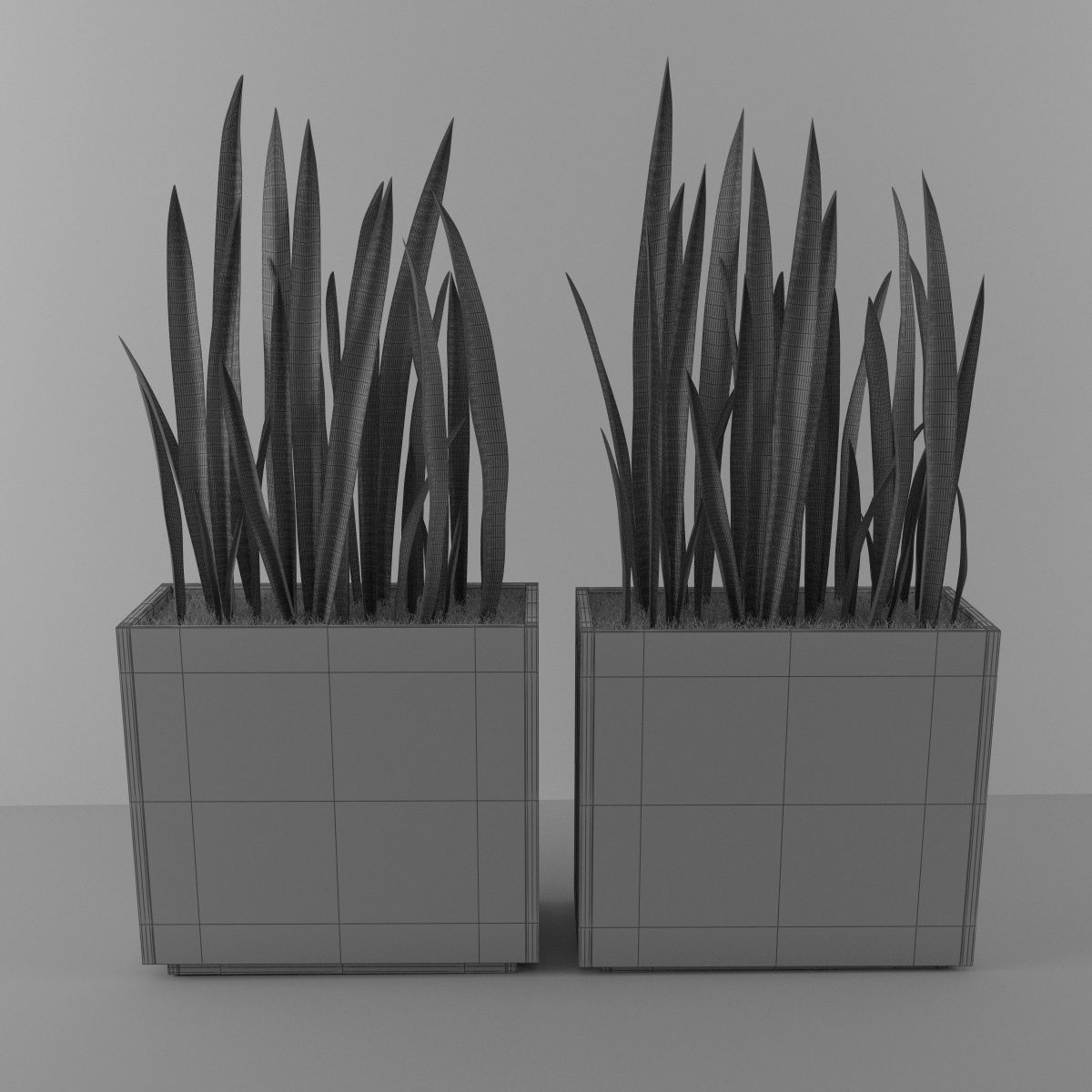 Plants bamboo plant in pot 3D model_48