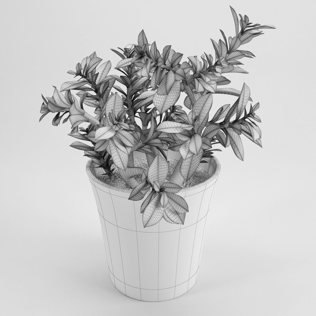 Plants bamboo plant in pot 3D model_70