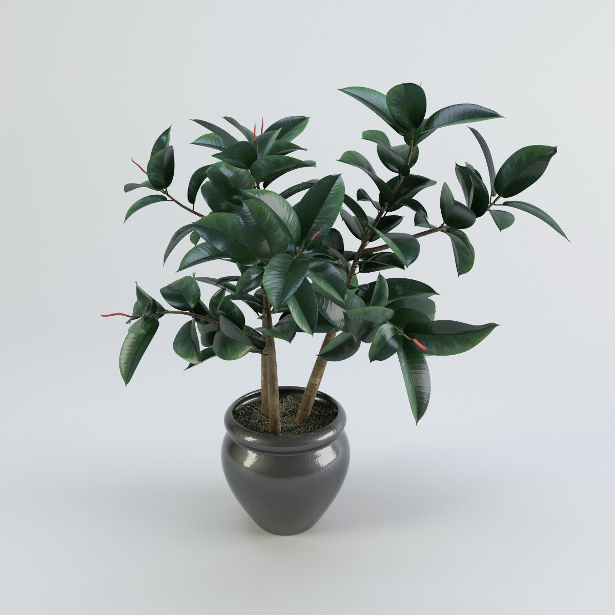 Plants bamboo plant in pot 3D model_67