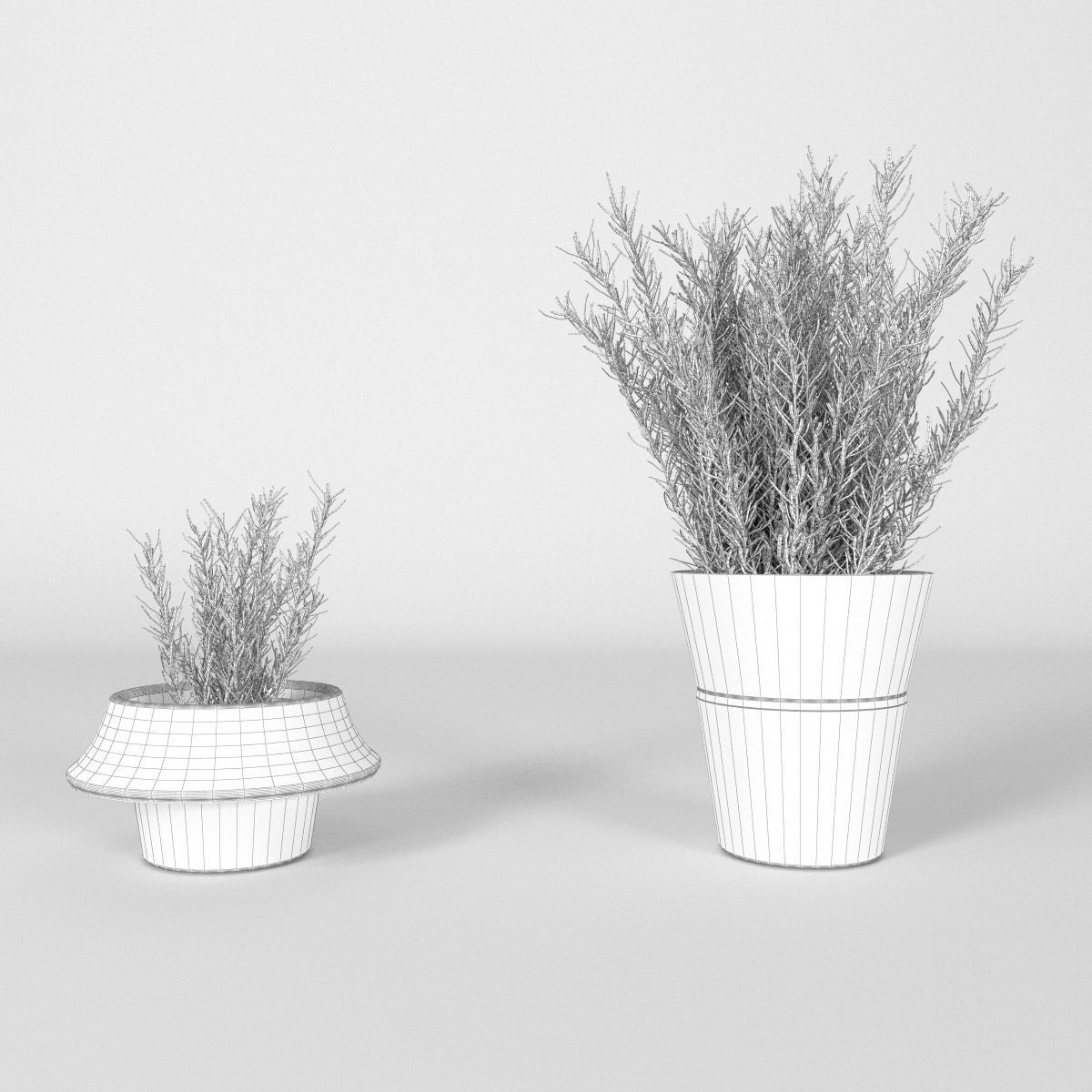 Plants bamboo plant in pot 3D model_64