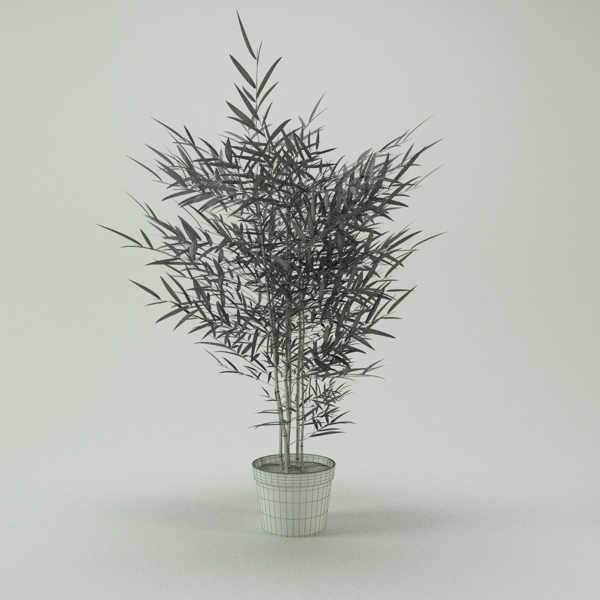 Plants bamboo plant in pot 3D model_8