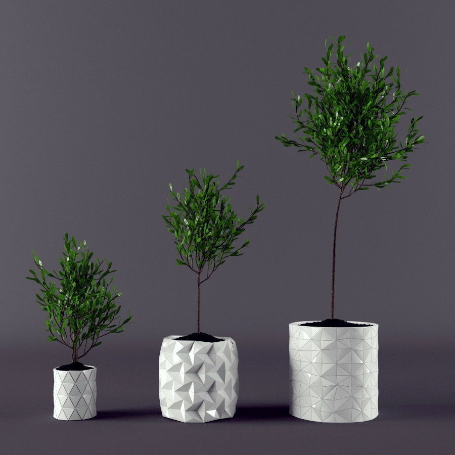 Plants bamboo plant in pot 3D model_78