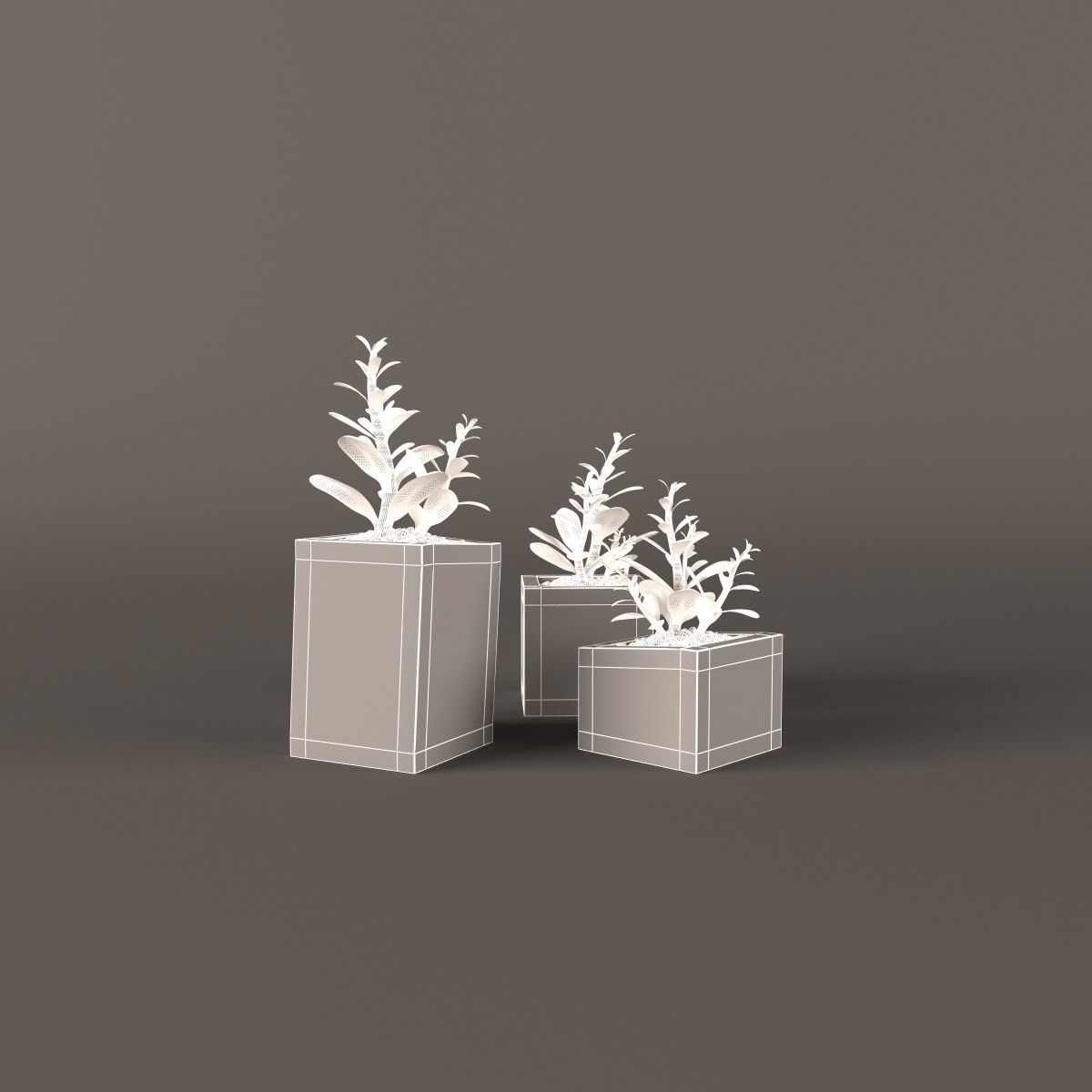 Plants bamboo plant in pot 3D model_60