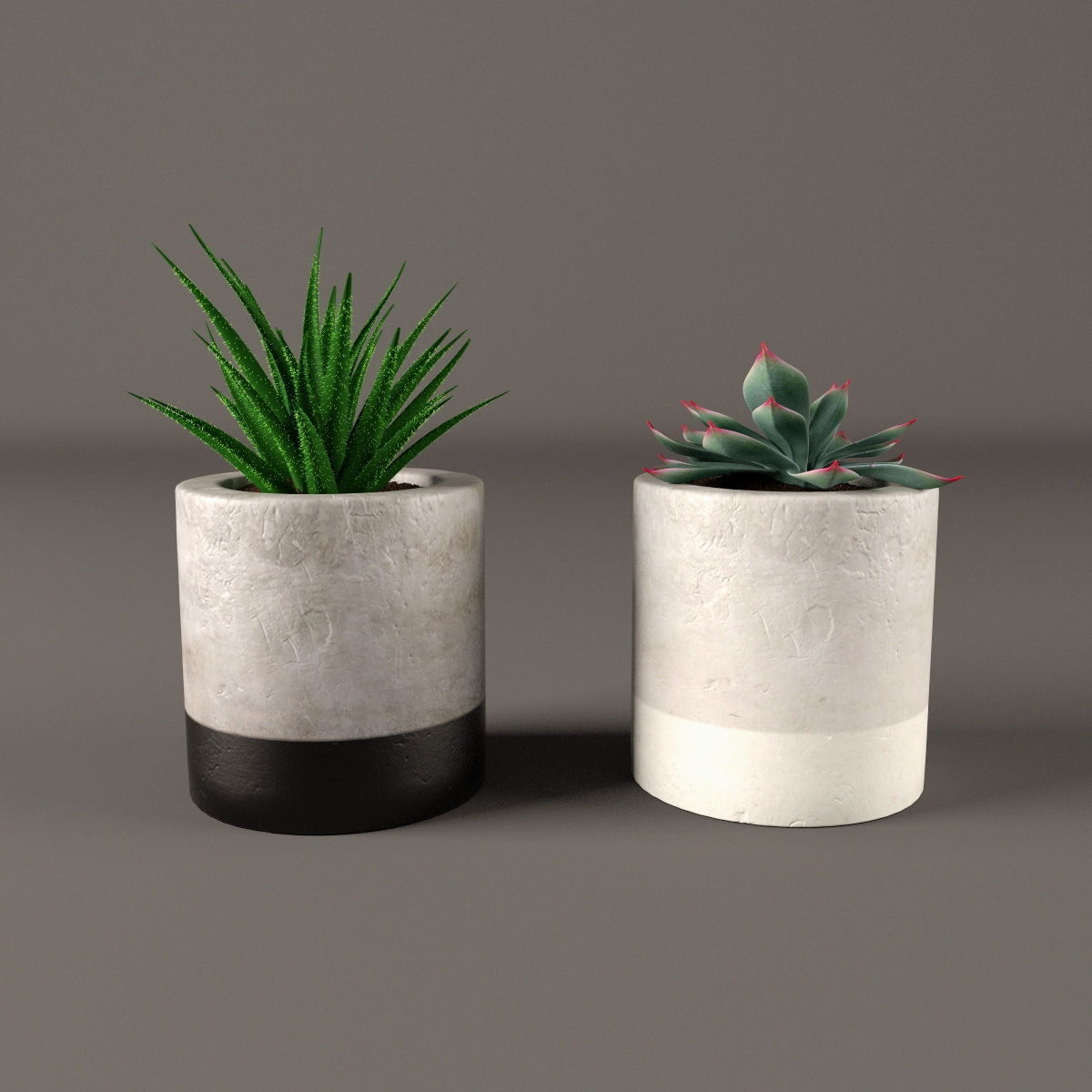 Plants bamboo plant in pot 3D model_83