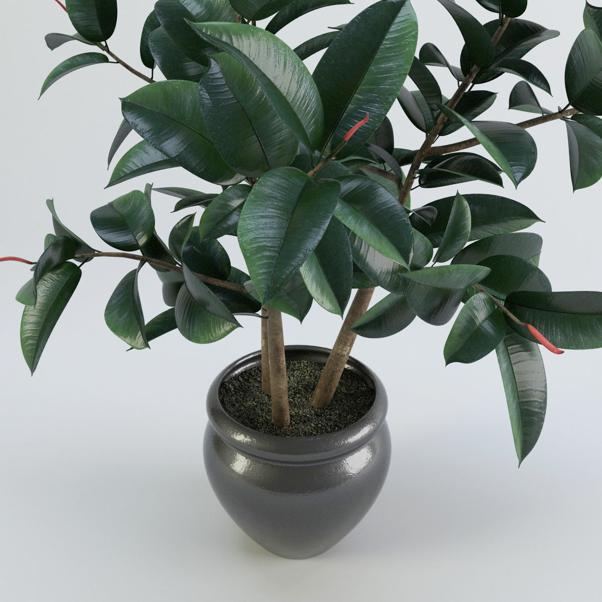 Plants bamboo plant in pot 3D model_69