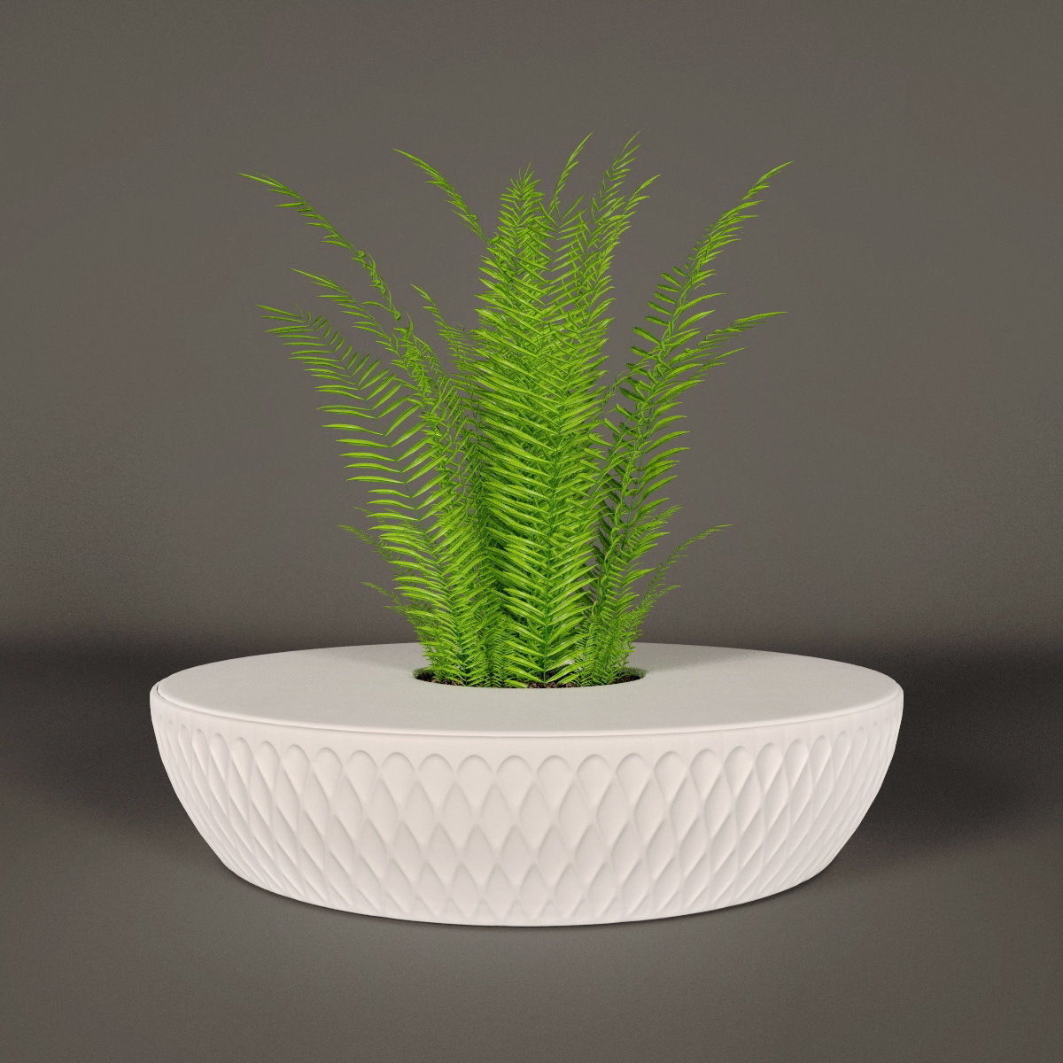 Plants bamboo plant in pot 3D model_31