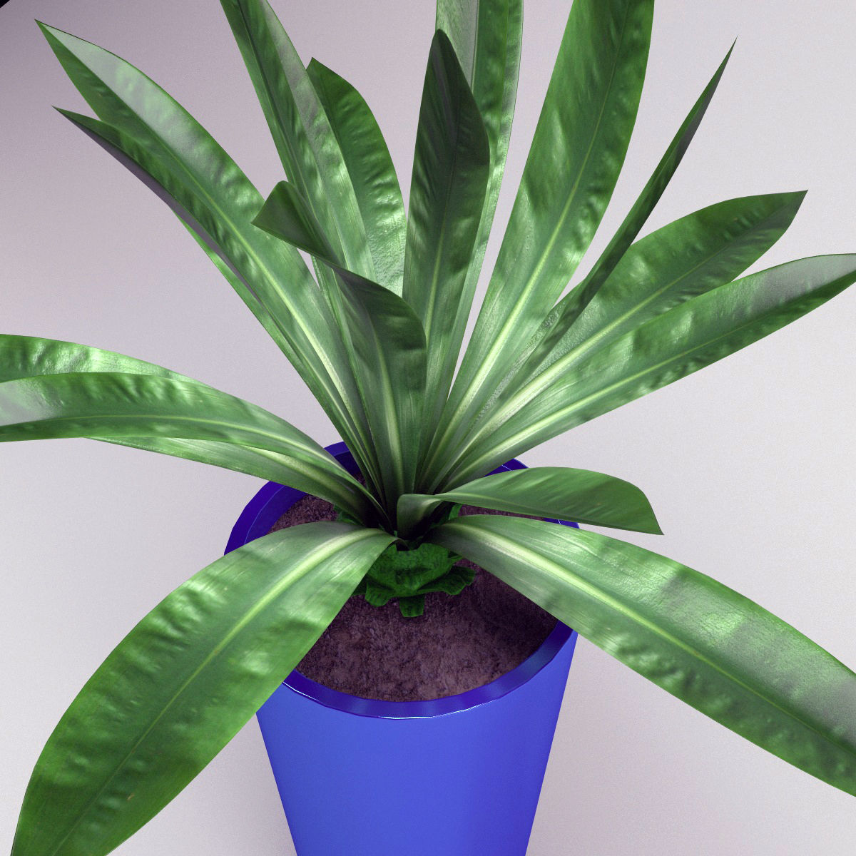 Plants bamboo plant in pot 3D model_15