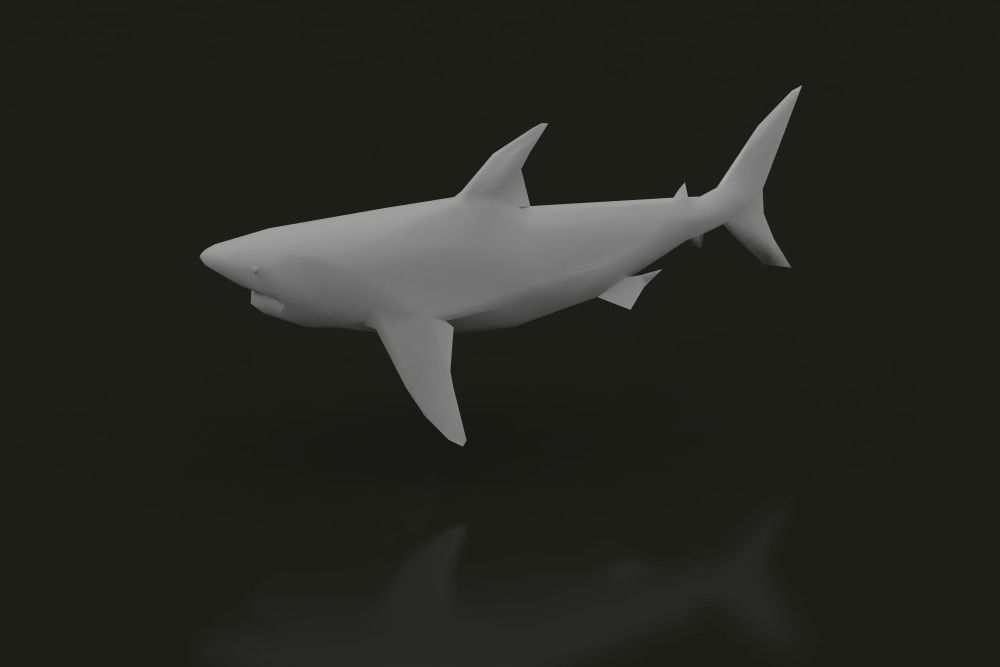 Low Poly Great White Shark Low-poly 3D model_2