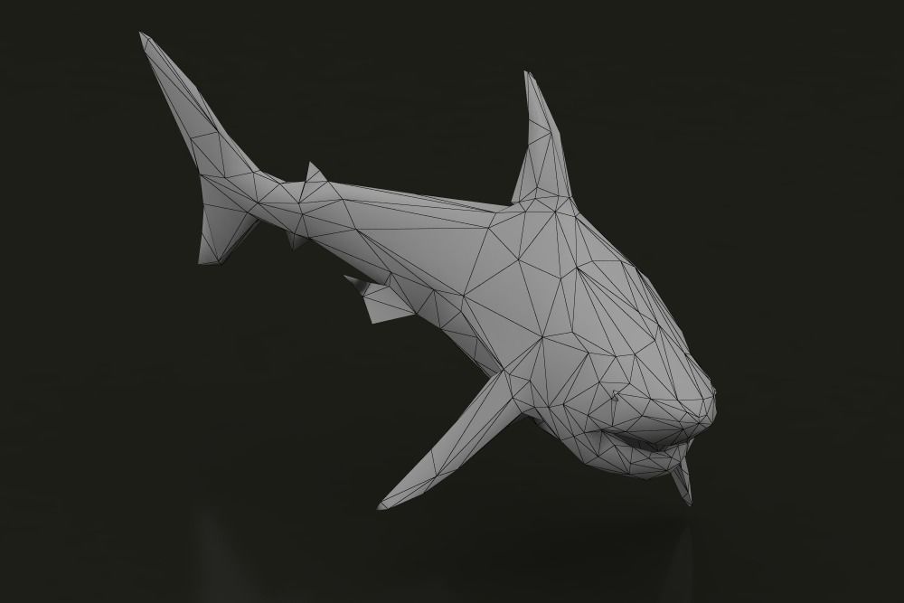 Low Poly Great White Shark Low-poly 3D model_4