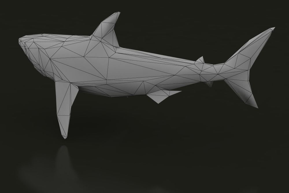 Low Poly Great White Shark Low-poly 3D model_3