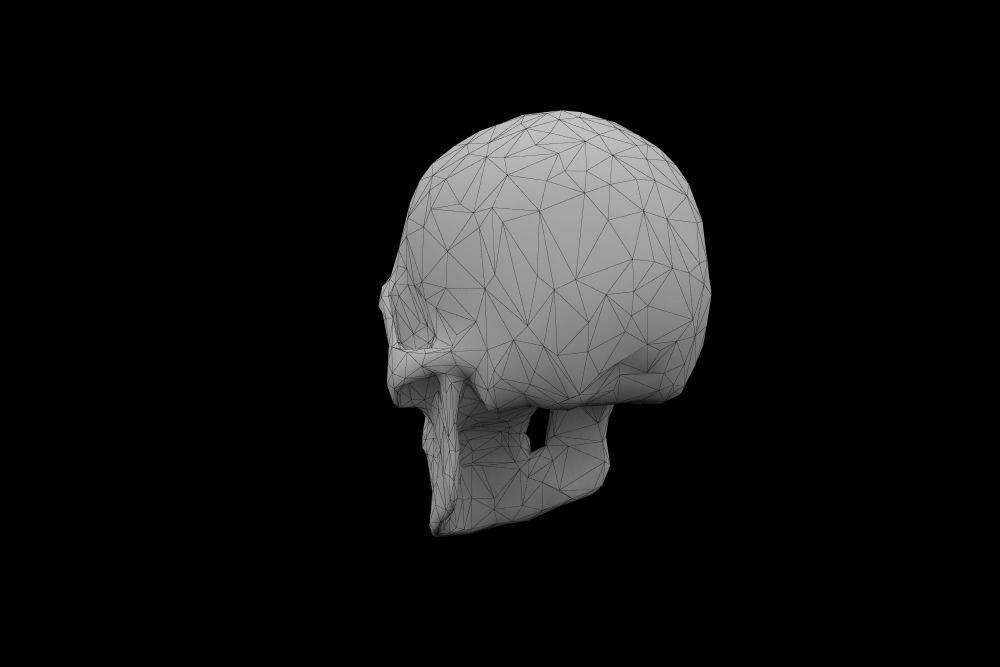 Skull low-poly 3d model Game-ready polygonal Low-poly 3D model_4