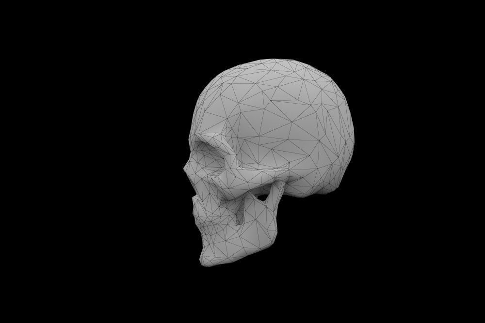 Skull low-poly 3d model Game-ready polygonal Low-poly 3D model_8