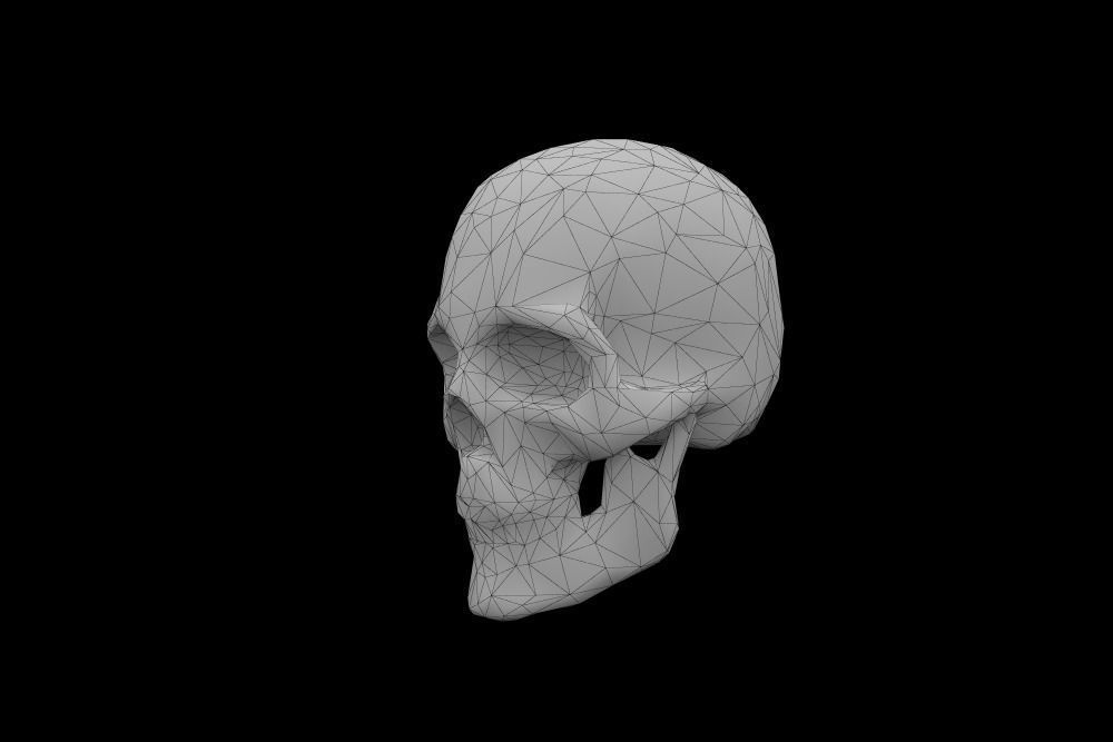 Skull low-poly 3d model Game-ready polygonal Low-poly 3D model_6