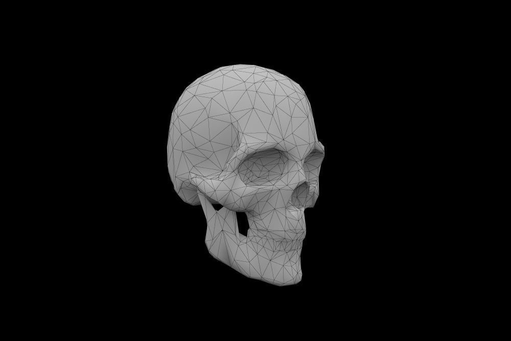 Skull low-poly 3d model Game-ready polygonal Low-poly 3D model_1