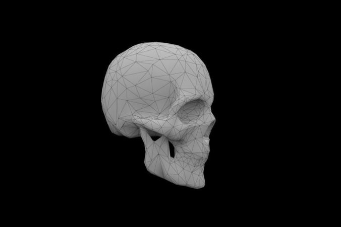 Skull low-poly 3d model Game-ready polygonal Low-poly 3D model