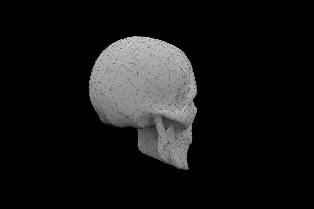 Skull low-poly 3d model Game-ready polygonal Low-poly 3D model_2