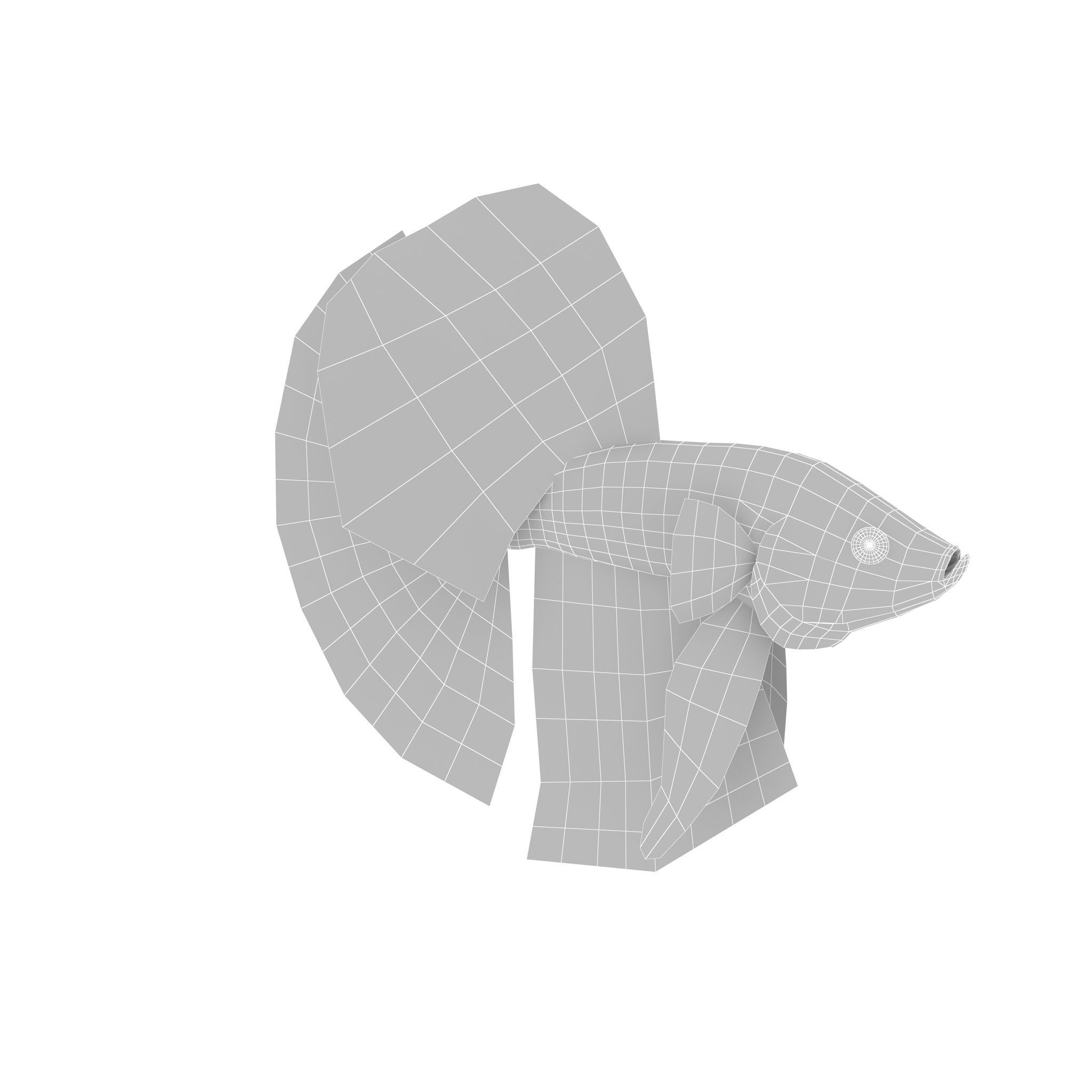 Betta Fish Low-poly 3D model_10