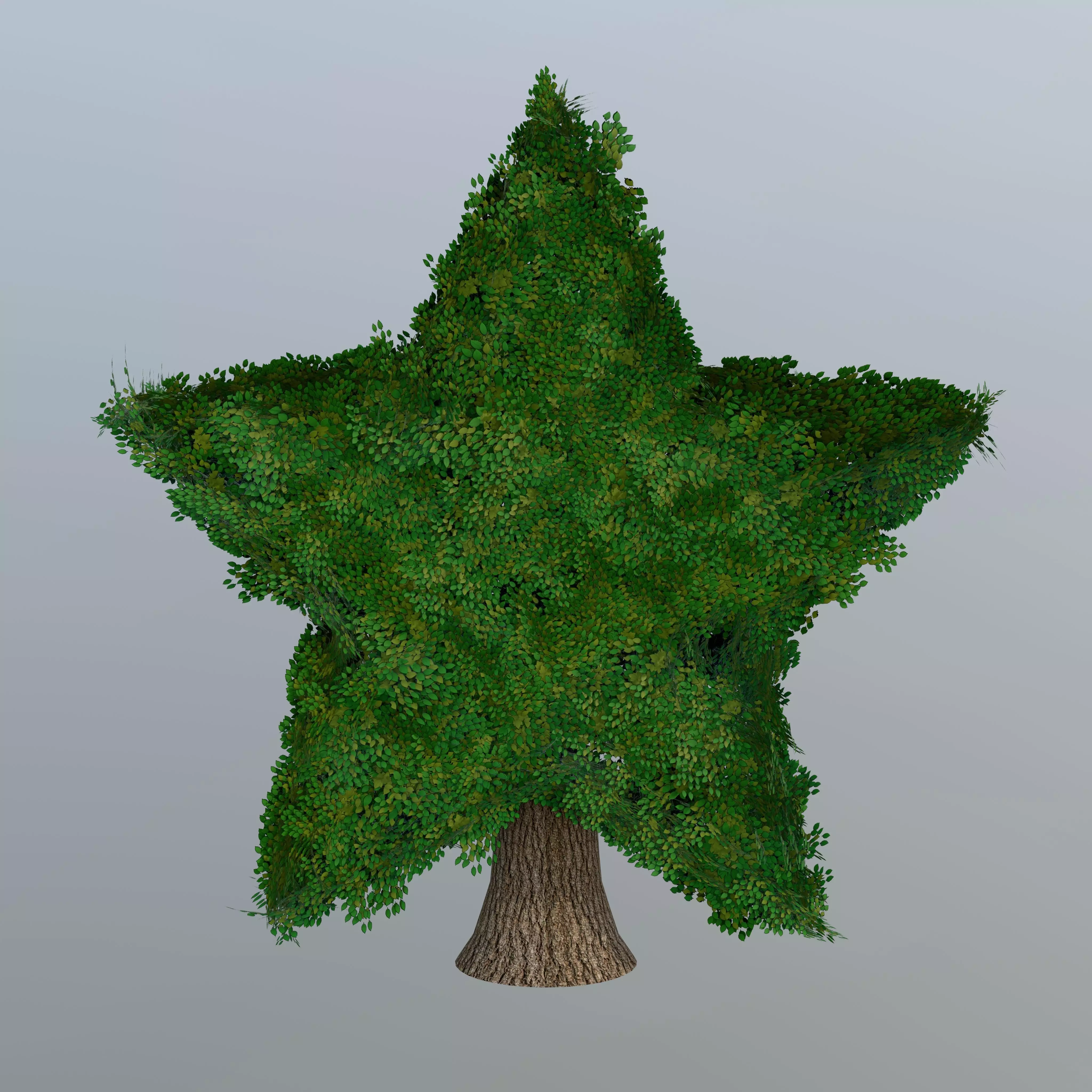 Realistic Star Shaped Topiary Tree 3D model