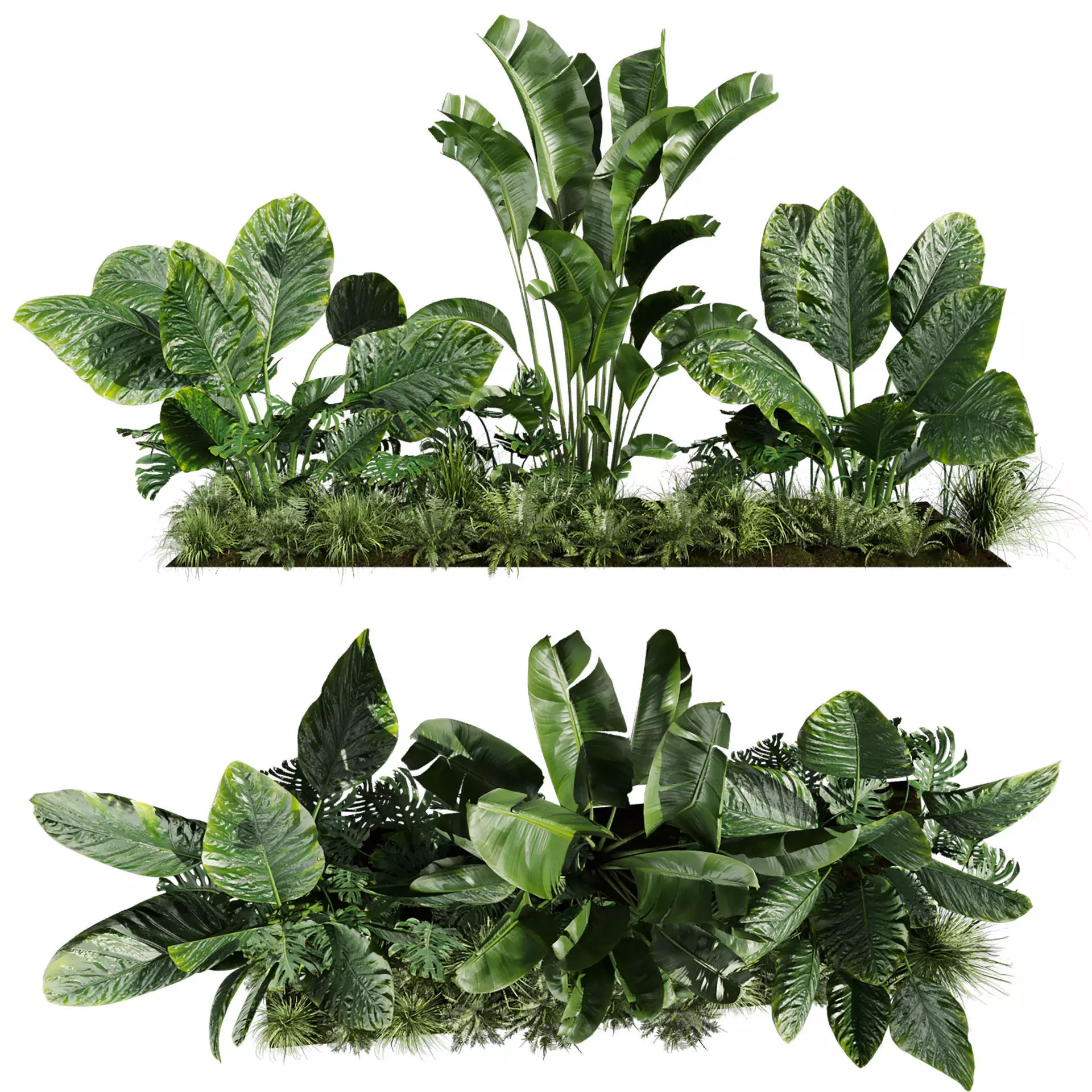 plant vol 826 - banana - monstera - grass - garden 3D model