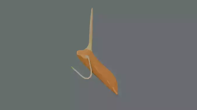 Stylize Rice Grain Root Development Low-poly 3D model 4