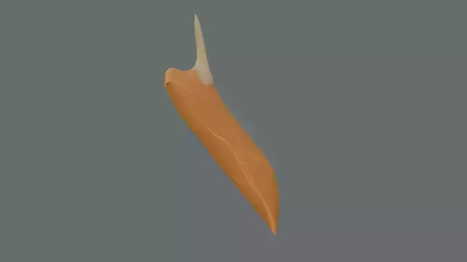 Stylize Rice Grain Root Development Low-poly 3D model 3