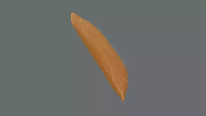 Stylize Rice Grain Root Development Low-poly 3D model 5
