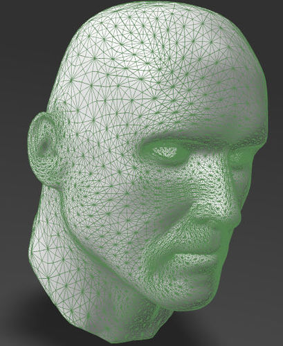 Solid male head 1  3D print model