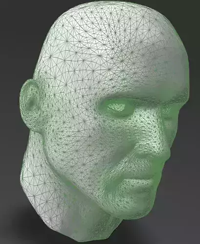 Solid male head 1 