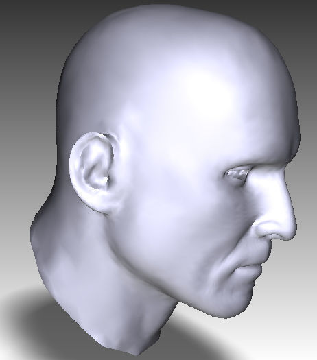 Solid male head 1 3D print model_10