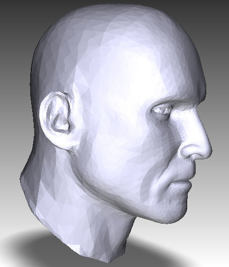 Solid male head 1 3D print model_5