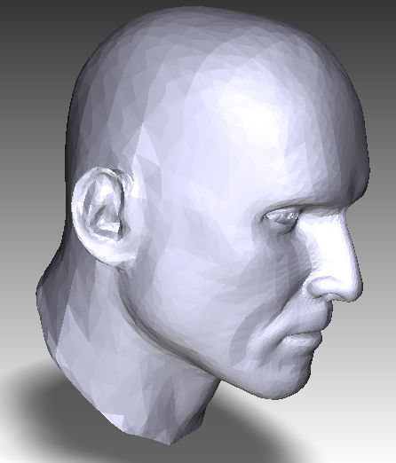 Solid male head 1 3D print model_8