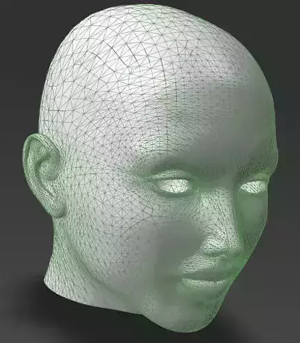 Solid female head 1 