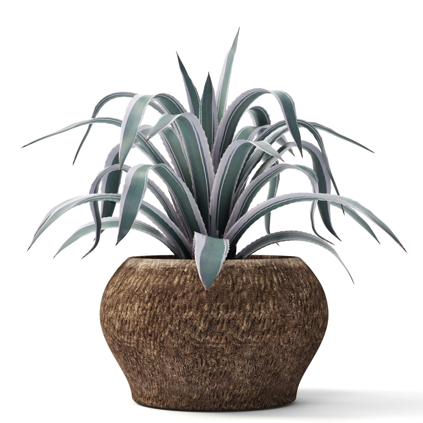Agave collection plant in vase 3D model_2