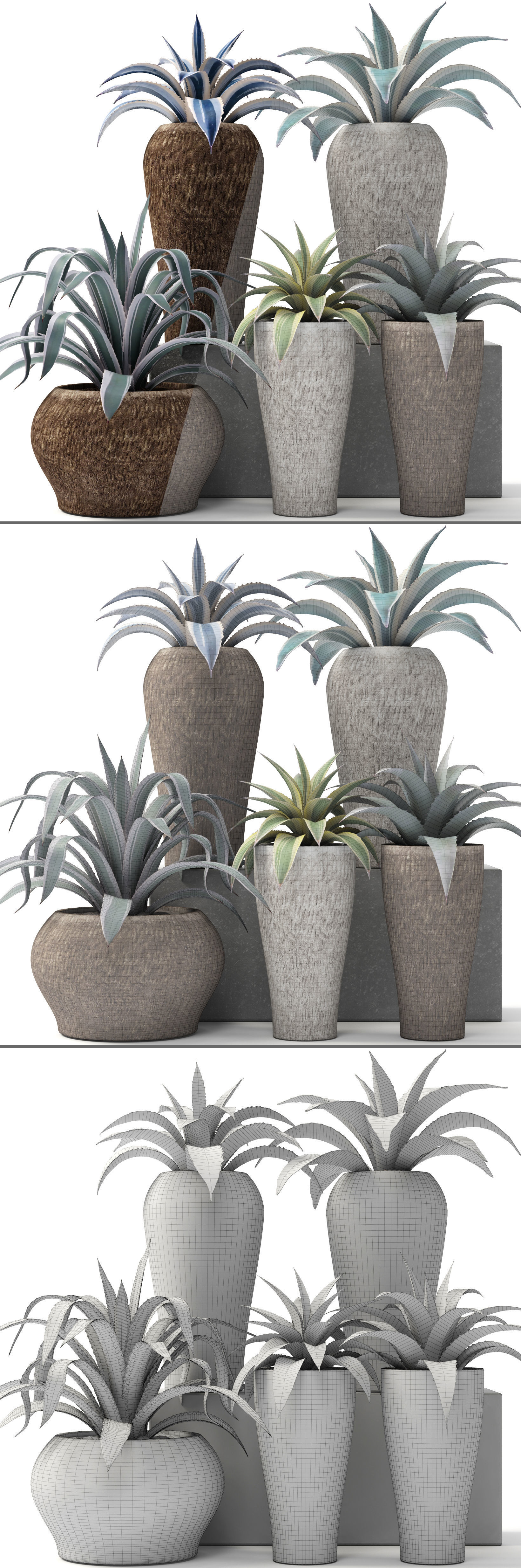 Agave collection plant in vase 3D model_8