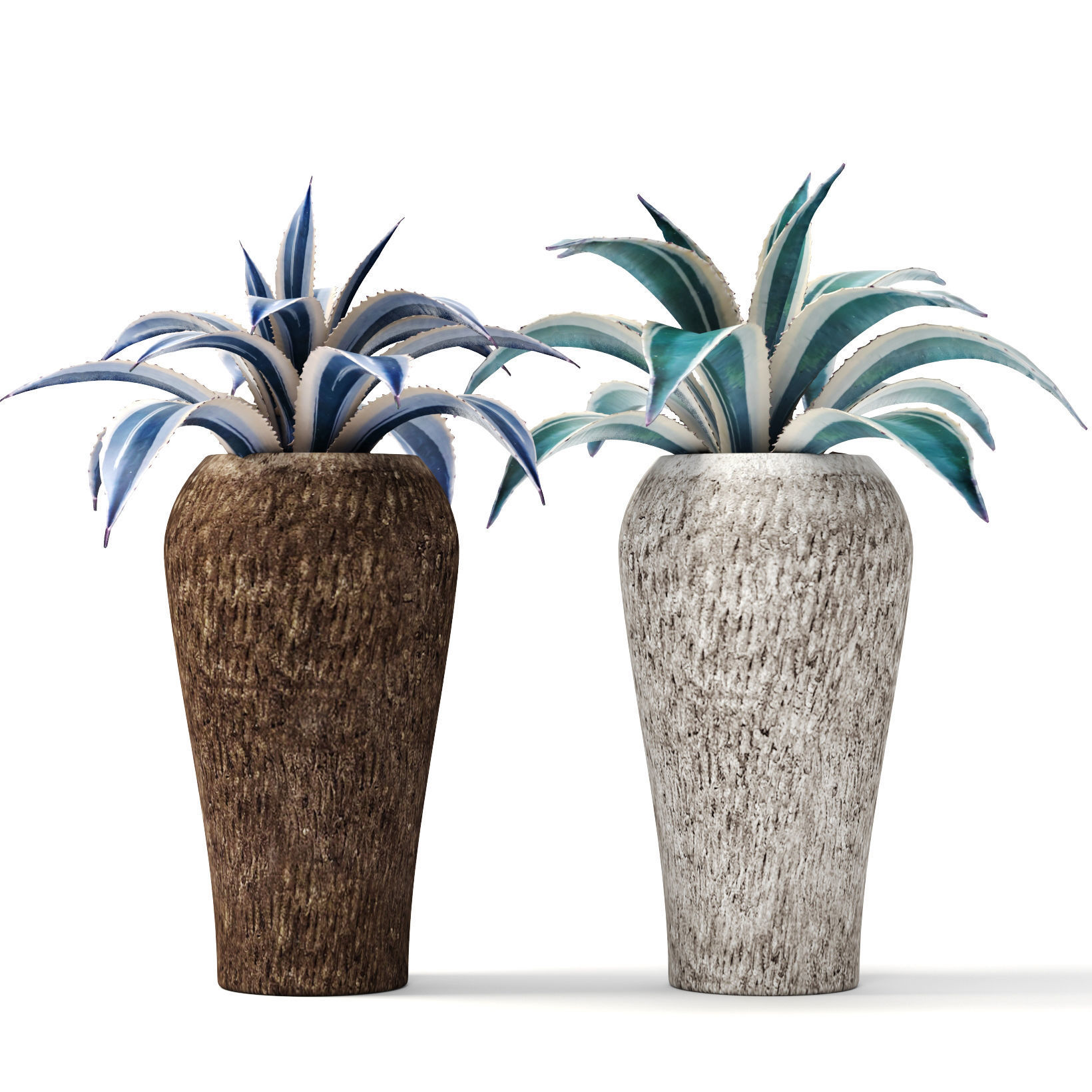 Agave collection plant in vase 3D model_1