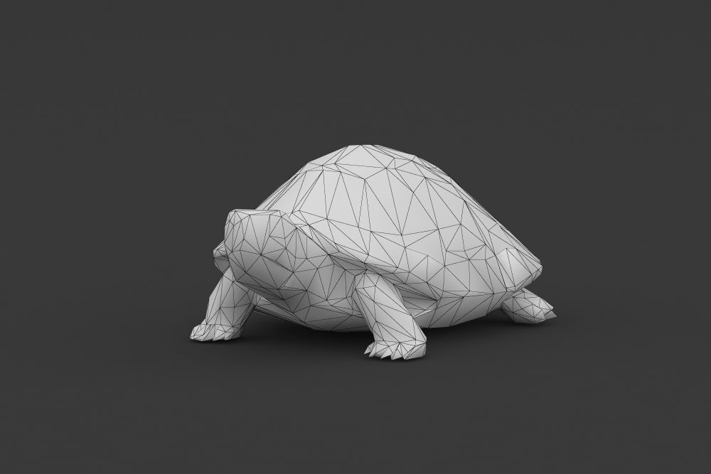 Low Poly Turtle Tortoise Low-poly 3D model_3