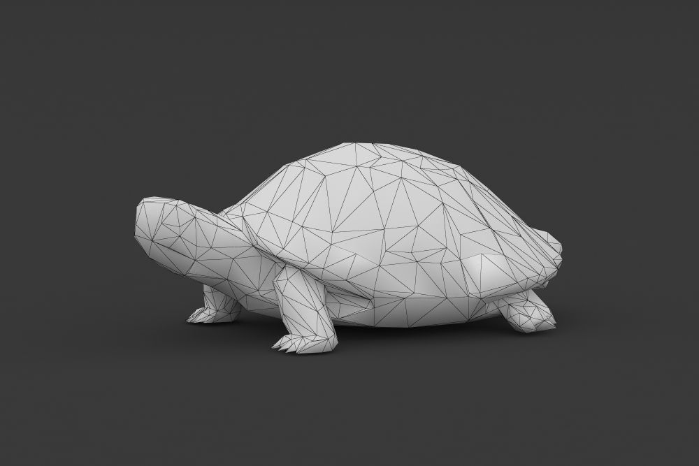 Low Poly Turtle Tortoise Low-poly 3D model_5