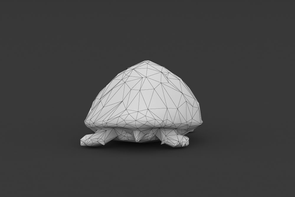 Low Poly Turtle Tortoise Low-poly 3D model_8