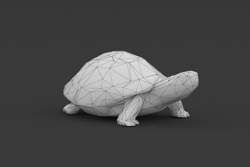 Low Poly Turtle Tortoise Low-poly 3D model_4