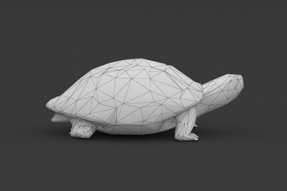 Low Poly Turtle Tortoise Low-poly 3D model_7
