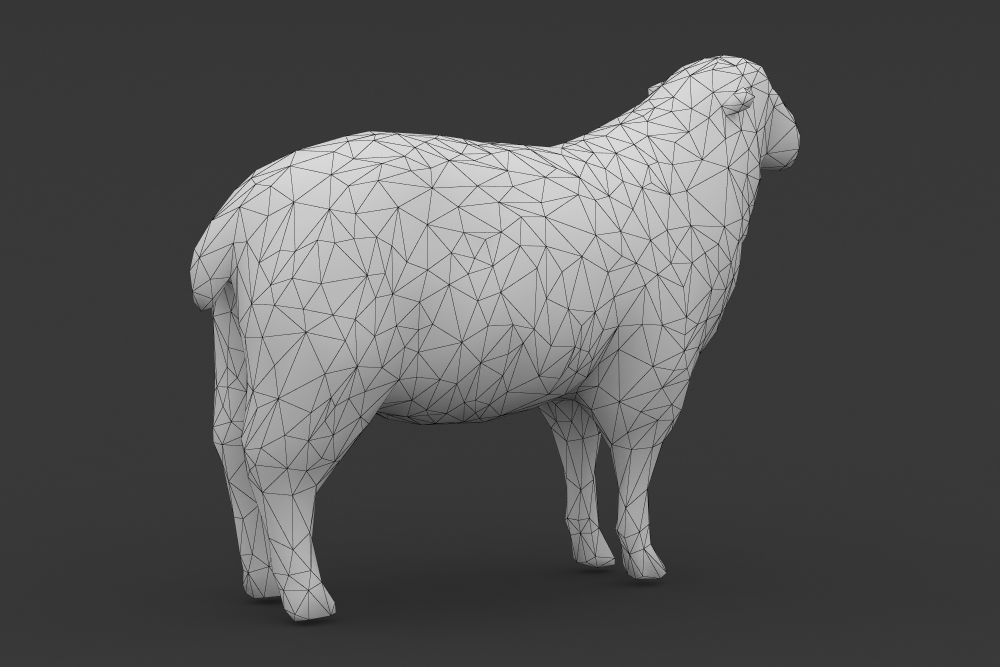 Low Poly Sheep Goat Lamb Low-poly 3D model_5