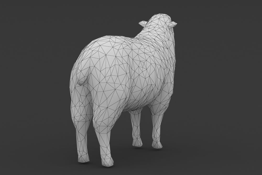 Low Poly Sheep Goat Lamb Low-poly 3D model_4