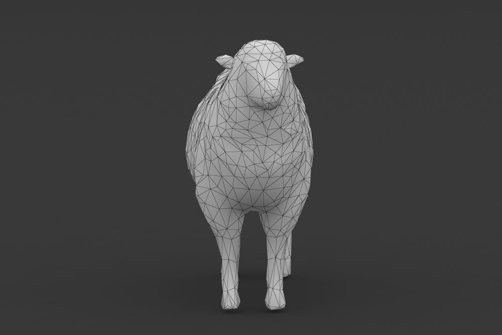 Low Poly Sheep Goat Lamb Low-poly 3D model_8