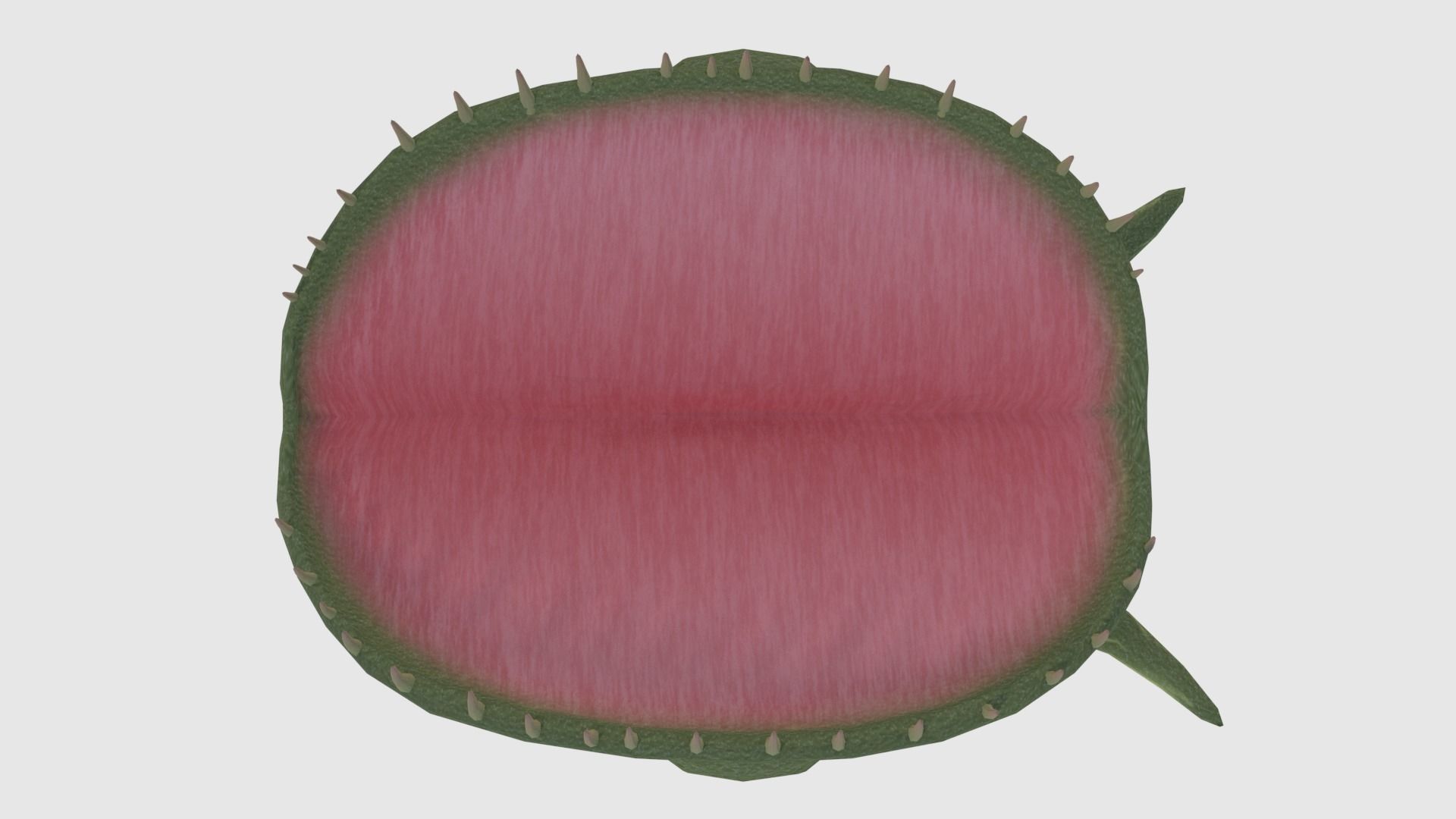 Plant Monster - Game Ready Low-poly 3D model_10