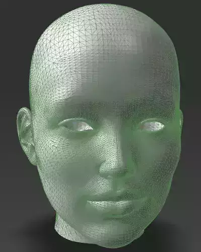 Solid female head 2 3D print model