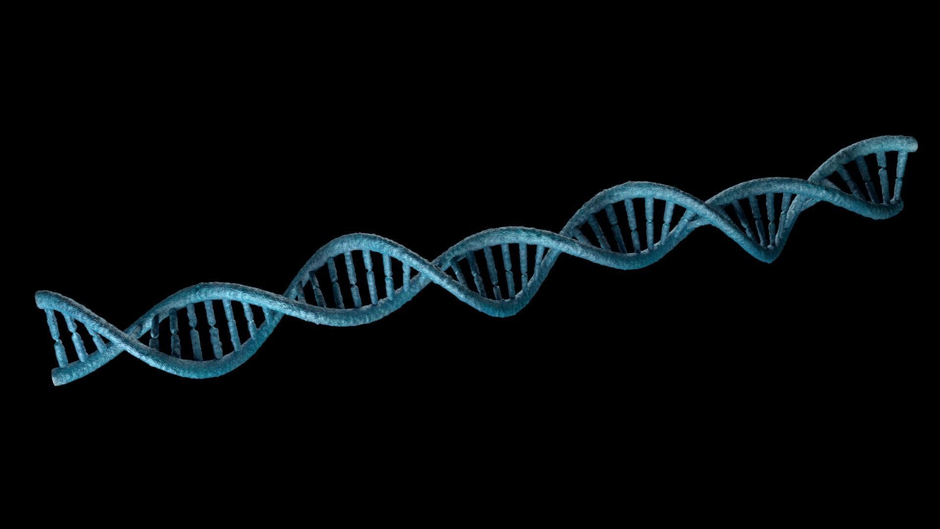 DNA STRAND with high details Low-poly 3D model_1