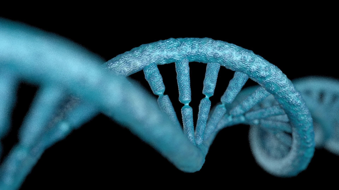 DNA STRAND with high details Low-poly 3D model