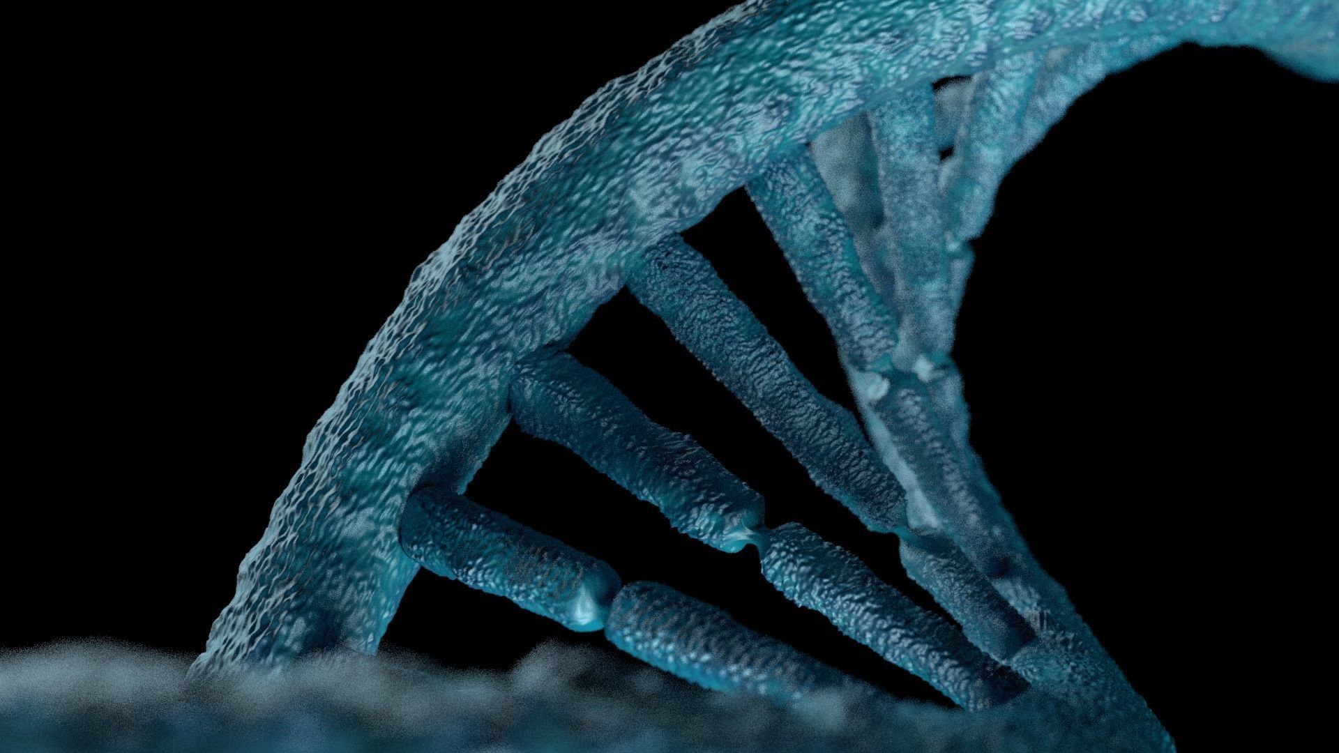 DNA STRAND with high details Low-poly 3D model_2