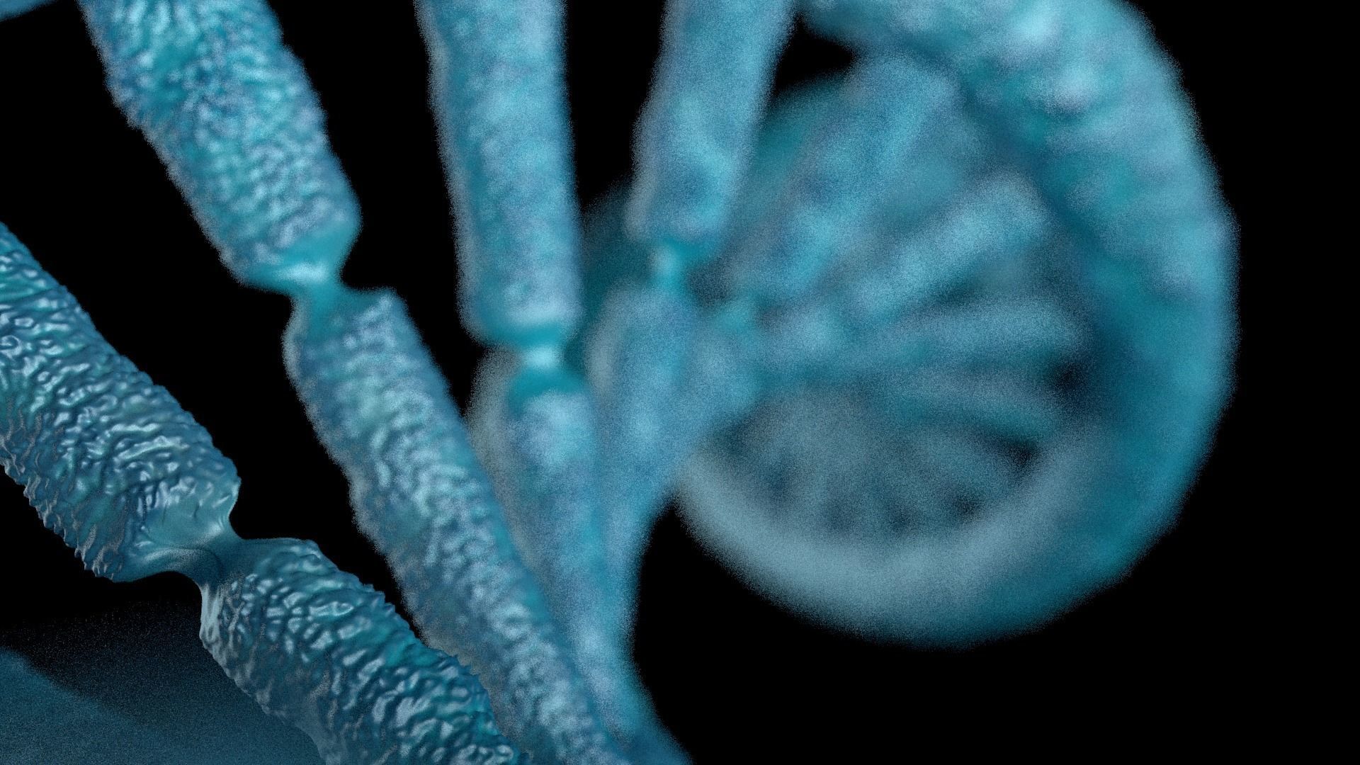 DNA STRAND with high details Low-poly 3D model_3