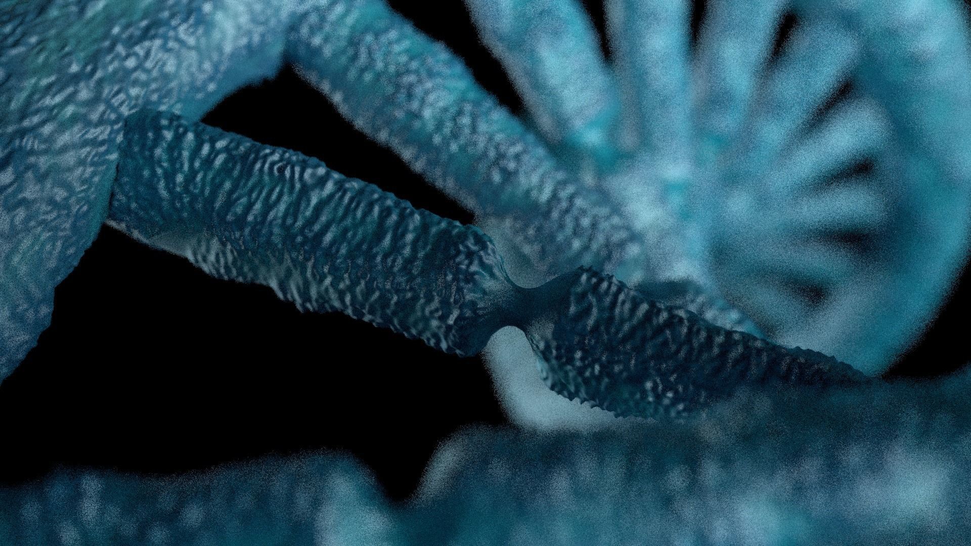 DNA STRAND with high details Low-poly 3D model_4